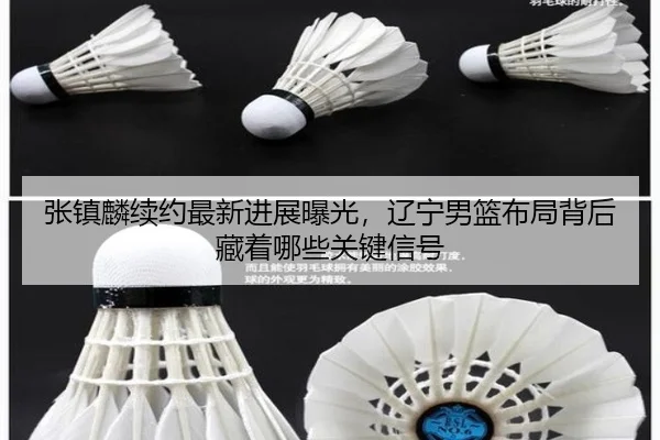 张镇麟续约最新进展曝光，辽宁男篮布局背后藏着哪些关键信号 - Kaiyun